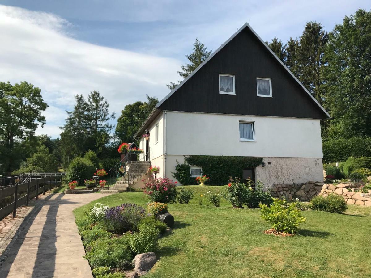 Ferienwohnung Grieser 가이징크 외부 사진